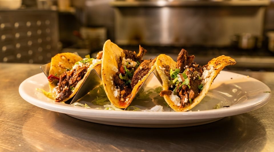 Four delicious tacos with shredded meat, cheese, and cilantro on a white plate.